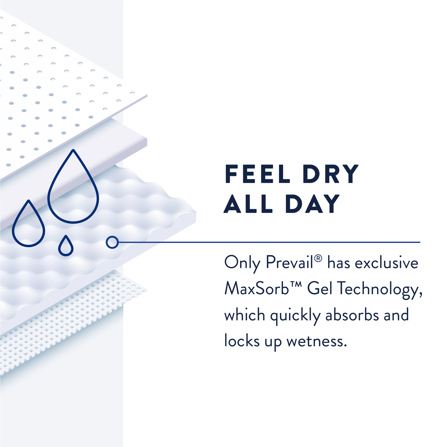 Prevail Large Plus Pant Liners, Moderate Absorbency