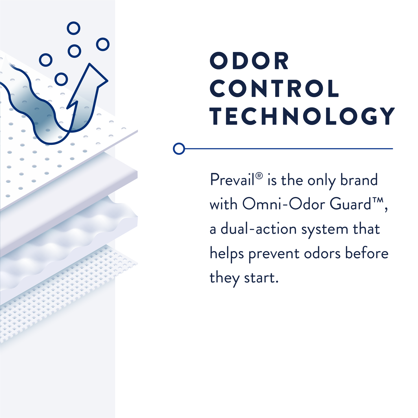 Prevail Large Plus Pant Liners, Moderate Absorbency